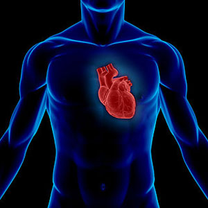 دکتر قلب خوب در ایت لله کاشانی