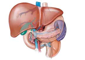 فوق تخصص گوارش خوب در منطقه 6