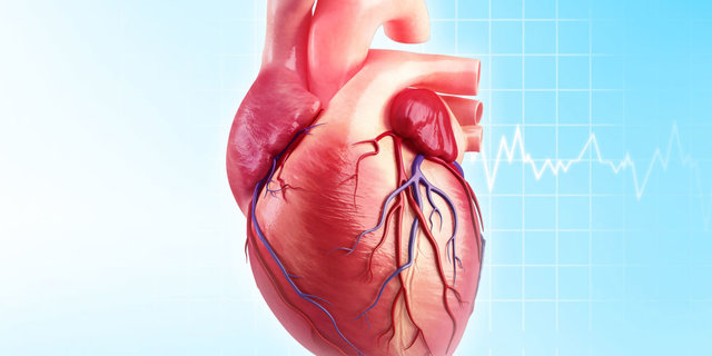 دکتر قلب خوب در منطقه 18