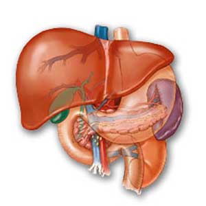 فوق تخصص ریه خوب در ونک