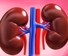 نارسایی کلیه